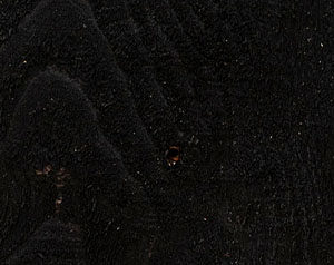 SemiTransparent_Fence_Black-300x238 (1)