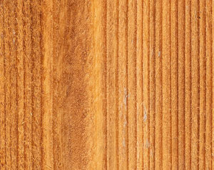 Transparent_Fence_ClearGlow-300x238