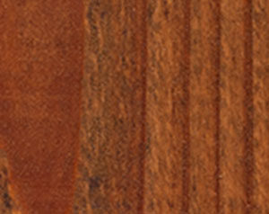 Transparent_SS_Leatherwood-300x238